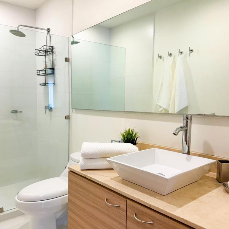 Spacious and bright 3-bedroom apartment in Roma Norte - Three-Bedroom Apartment - 27