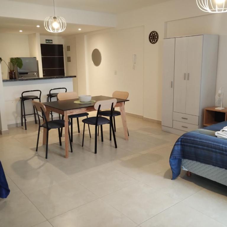 APA Leviosa- departamento nuevo con parrilla en el balcón - Studio Apartment - 6
