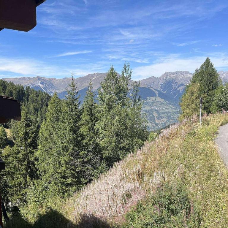 Appartement au calme, animaux OK, vue Mont Blanc - Appartamento con 1 Camera da Letto - 17