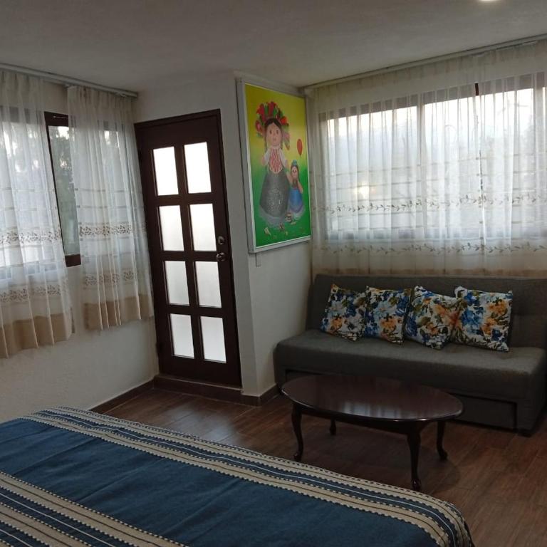 Cómodo departamento en Xochimilco - One-Bedroom Apartment - 4