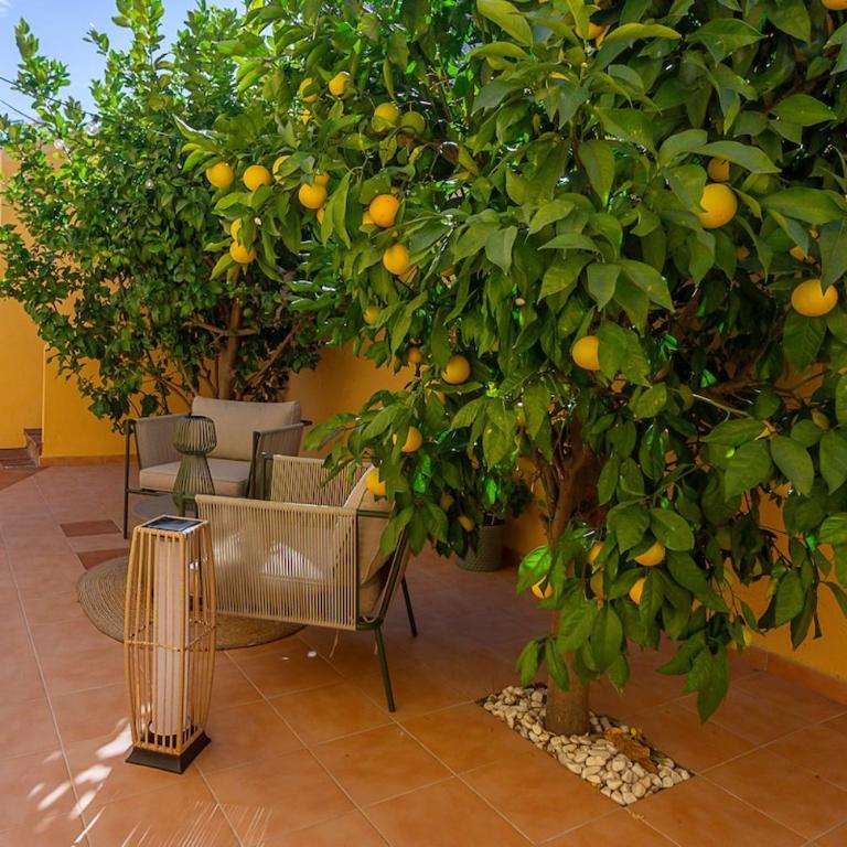 Sunshine House with Private Pool - Walk to the Beach - Villa - 34