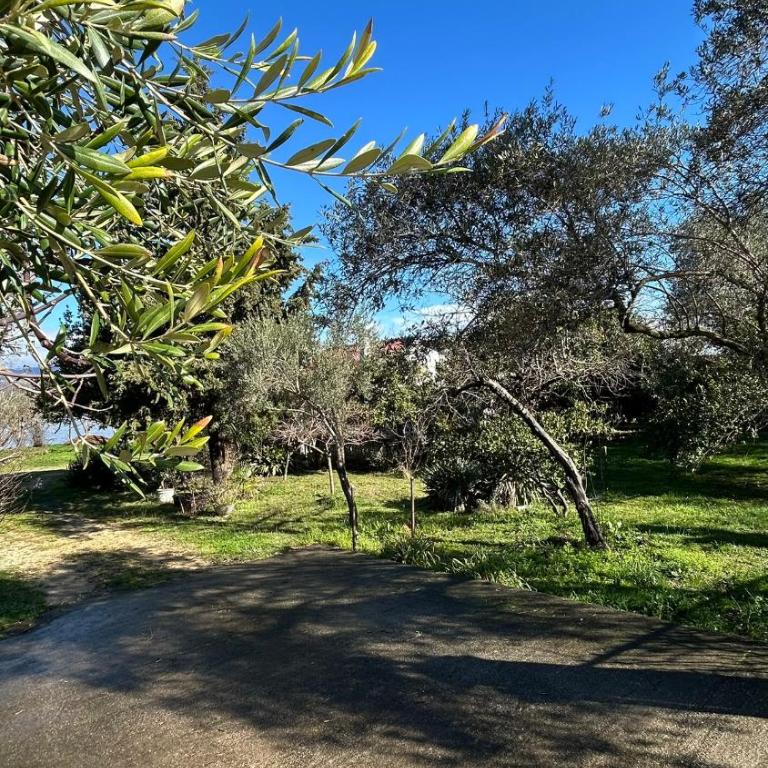 Apartments Chiara Garden - Studio with River View - 26
