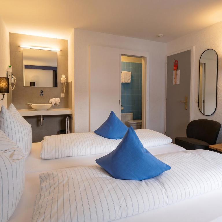 Hotel-Restaurant Bellevue - Economy Doppelzimmer - 2