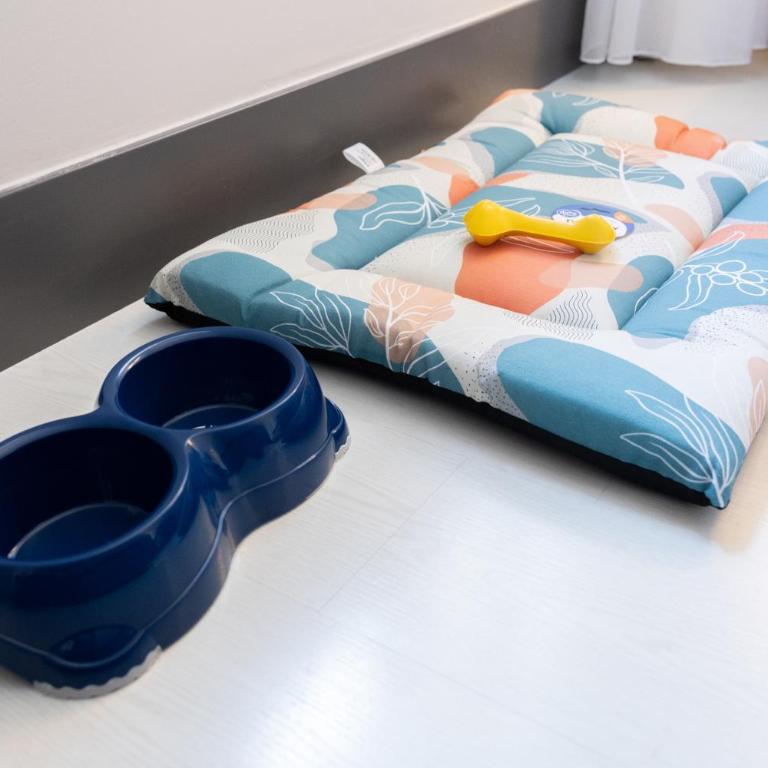Hotel Ilunion Bilbao - Double Room Pet Friendly - 4