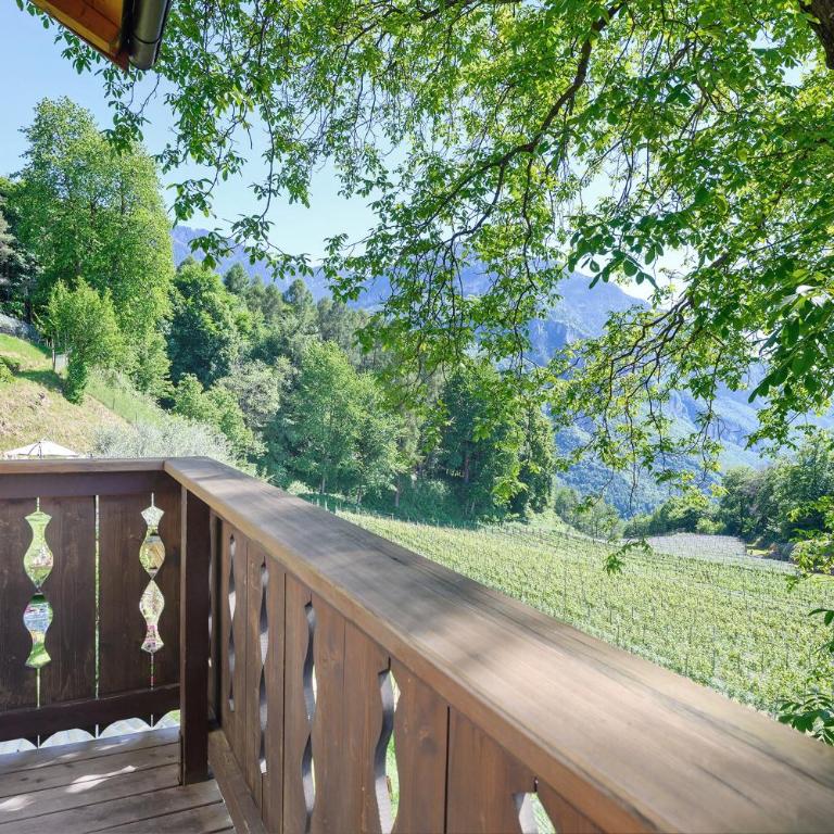 Rienznerhof Natureplace - Camera Matrimoniale con Vista Montagna - 12