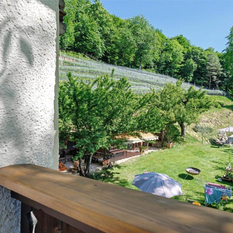 Rienznerhof Natureplace - Camera Matrimoniale con Vista Montagna - 13