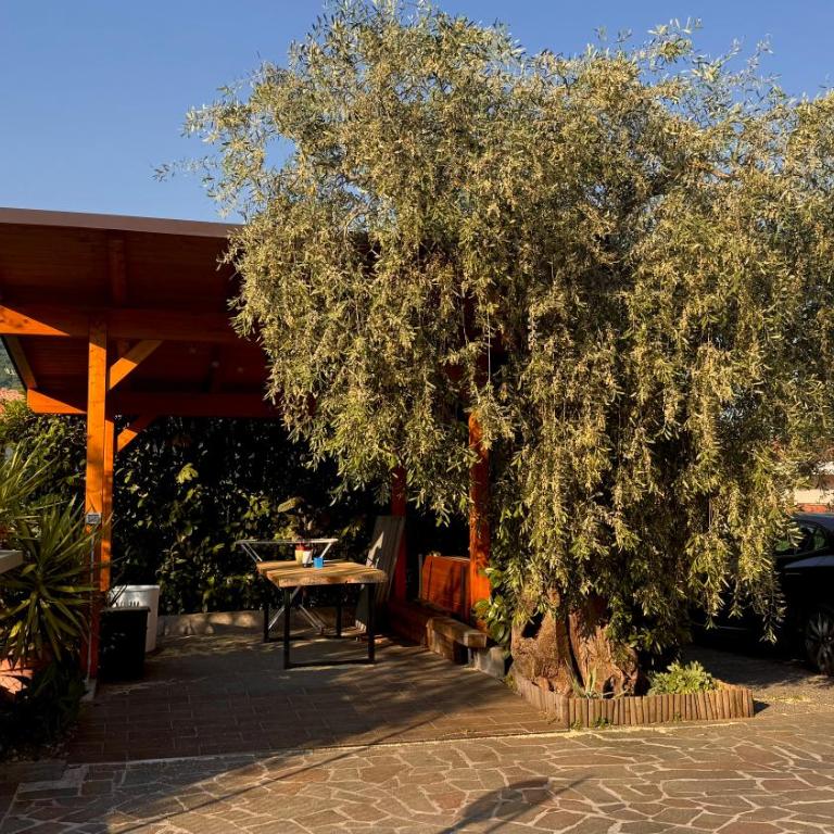 Elegant Apartment Garden & Parking - Appartamento con 2 Camere da Letto - 3
