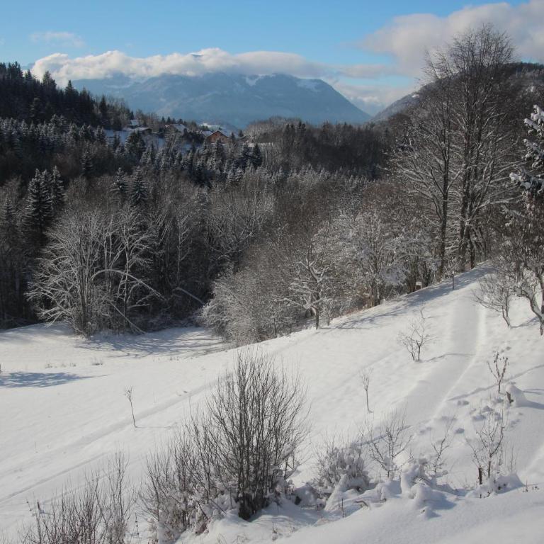 Chalet Eterlou - Appartement avec Vue sur la Montagne - 23