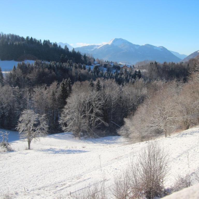Chalet Eterlou - Appartement avec Vue sur la Montagne - 24