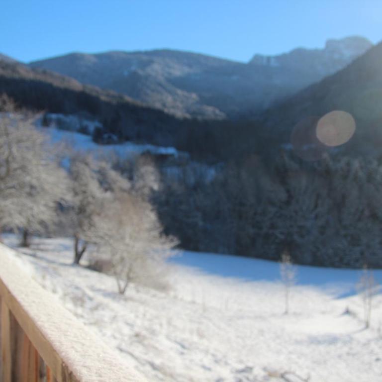 Chalet Eterlou - Appartement avec Vue sur la Montagne - 25