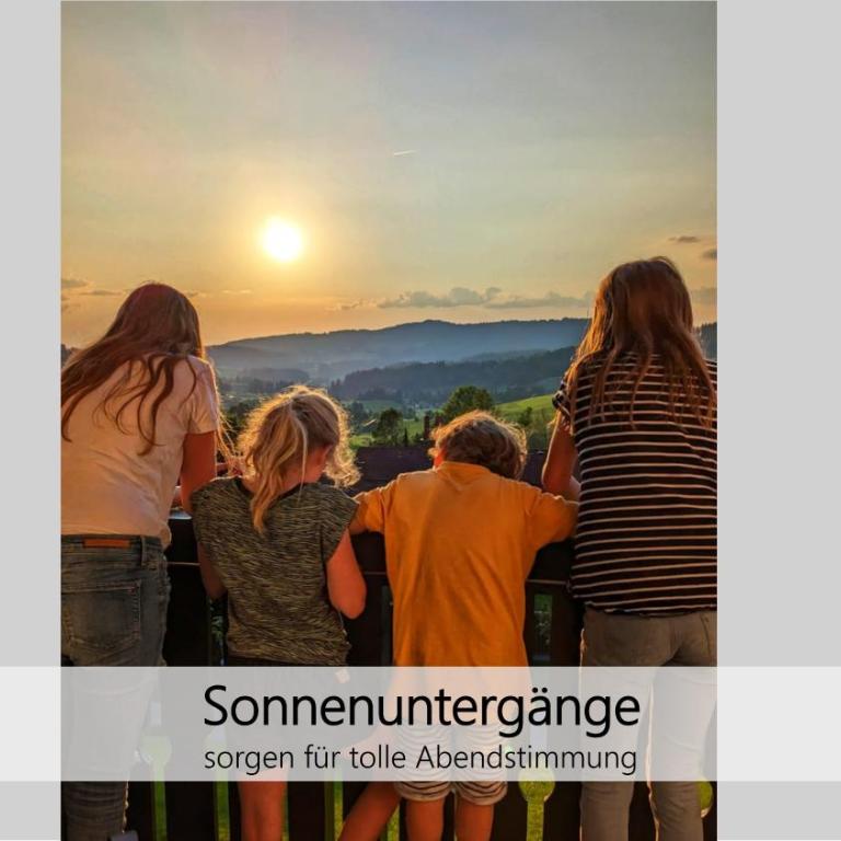 Alpenflair im Ferienpark Oberallgäu- Pool- Sauna- Bikepark- Skilift- Loipe- Wanderwege- stilvoll und kinderfreundlich - One-Bedroom Apartment - 11