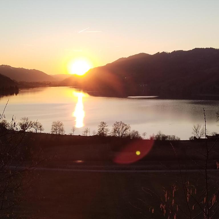 Alpenflair im Ferienpark Oberallgäu- Pool- Sauna- Bikepark- Skilift- Loipe- Wanderwege- stilvoll und kinderfreundlich - One-Bedroom Apartment - 59