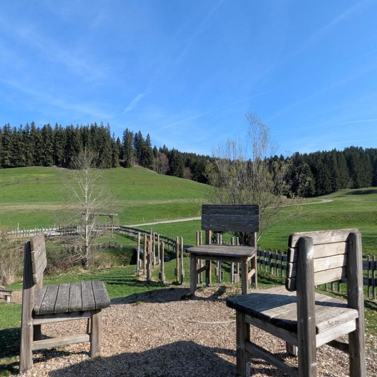 Alpenflair im Ferienpark Oberallgäu- Pool- Sauna- Bikepark- Skilift- Loipe- Wanderwege- stilvoll und kinderfreundlich - One-Bedroom Apartment - 64