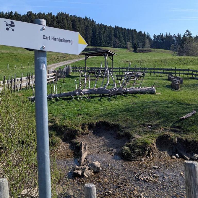 Alpenflair im Ferienpark Oberallgäu- Pool- Sauna- Bikepark- Skilift- Loipe- Wanderwege- stilvoll und kinderfreundlich - One-Bedroom Apartment - 62