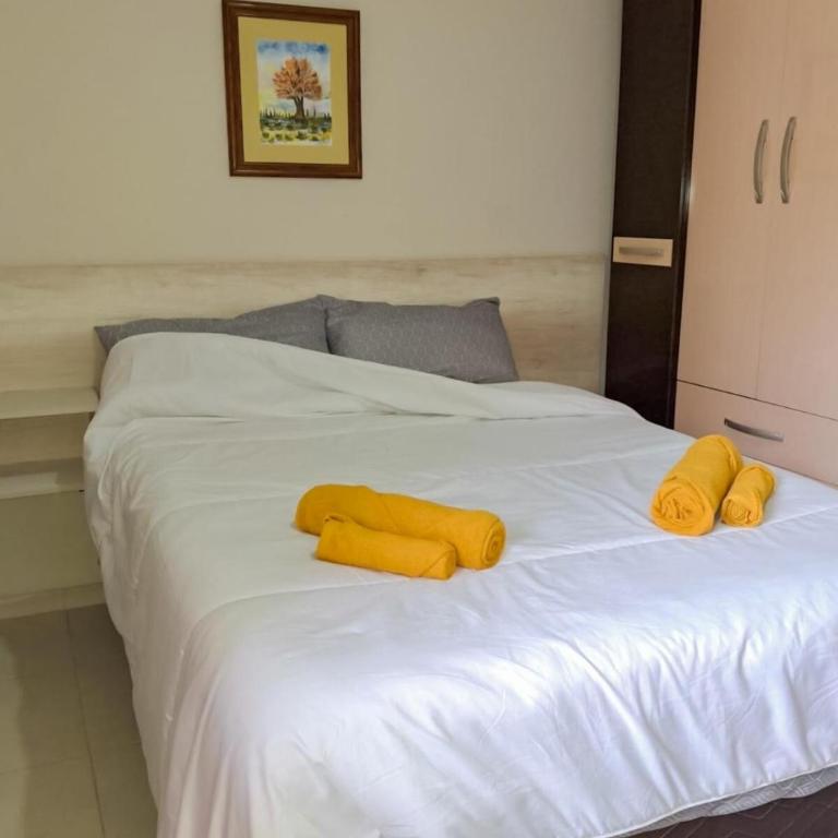 Casa Los Olivos Suites - Four-Bedroom House - 22