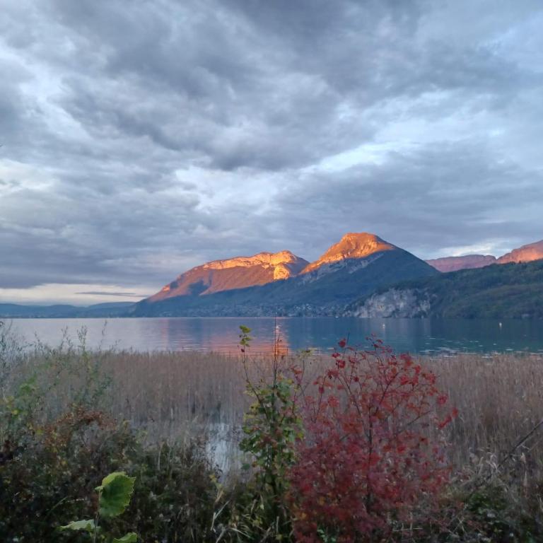 Maison au calme à 1 min à pied du lac d'Annecy - Villa - 32