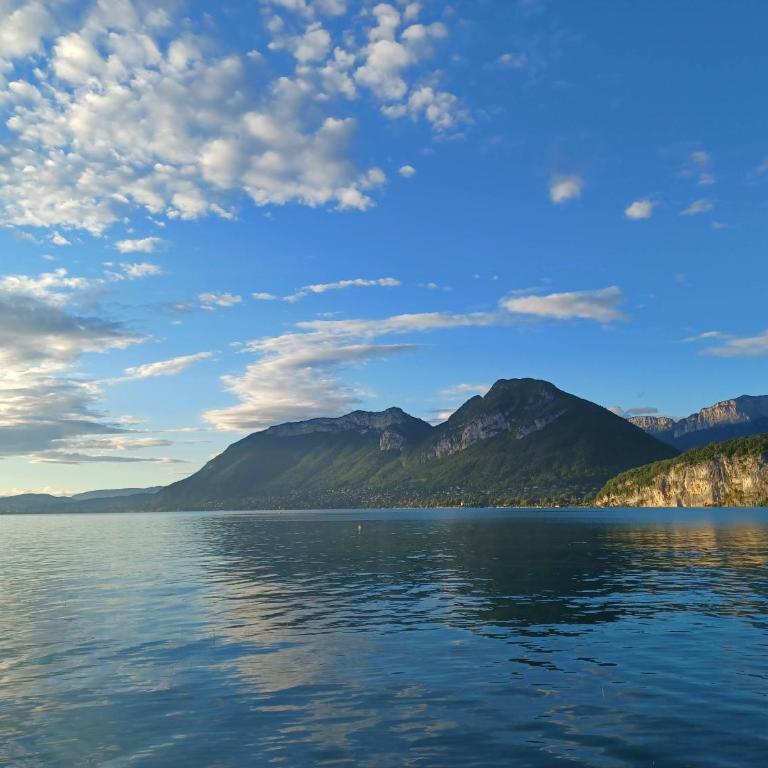 Maison au calme à 1 min à pied du lac d'Annecy - Villa - 36