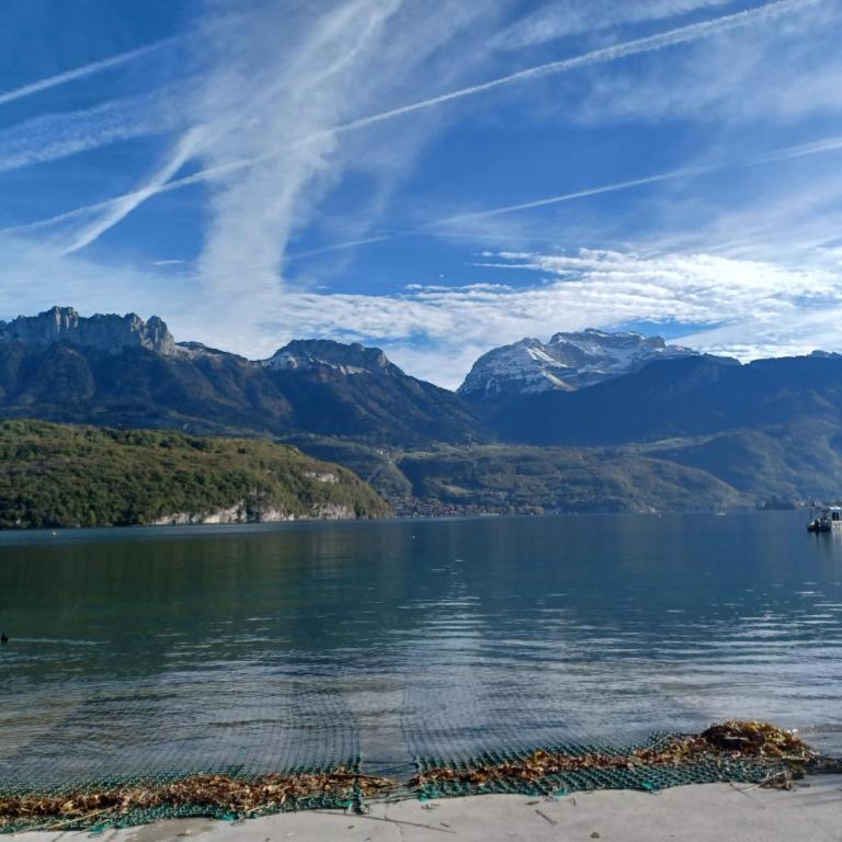Maison au calme à 1 min à pied du lac d'Annecy - Villa - 38