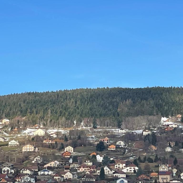 Bright nest with mountain view in Gérardmer - Appartement - 7