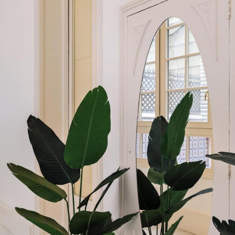 Magnificant Rambla Plaza View - Monthly Rental - Apartment - 22