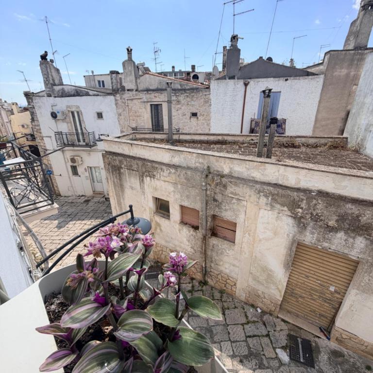 La Casetta Sobb a Sil - One-Bedroom House - 13