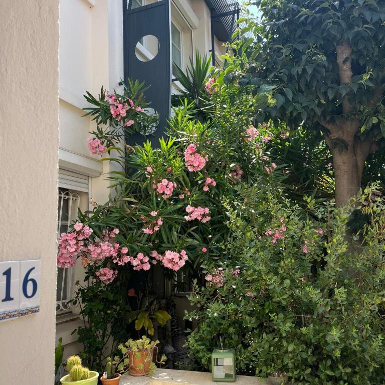 La petite MAISON BLANCHE CANNES - Appartement 3 Chambres - 31