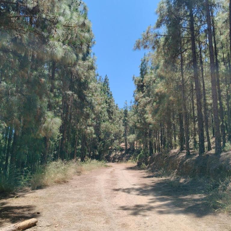 Sol, Piscina y Golf al lado del Mar en Mijas - Apartamento de 3 dormitorios - 2