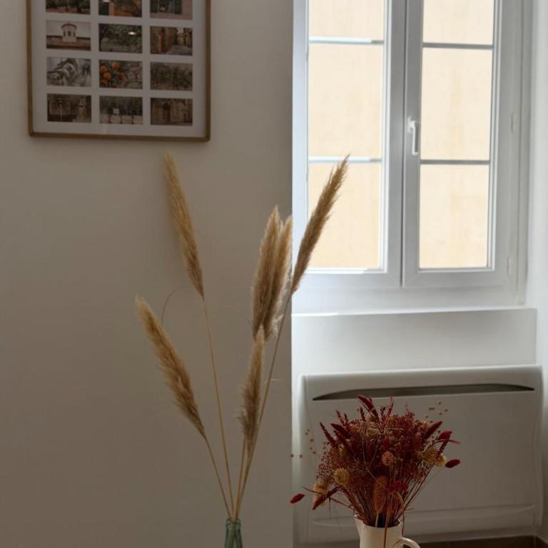 Ah cool c'est dans le Panier ! VERIFIED IDENTITY ONLY - Apartment - 5