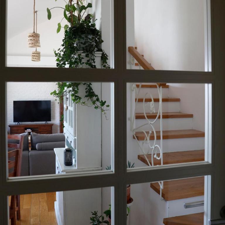 Zemun cozy duplex - One-Bedroom Apartment - 15