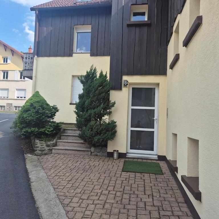 Le Numéro 4, New cosy stay La Bresse - Apartamento de 2 dormitorios - 14