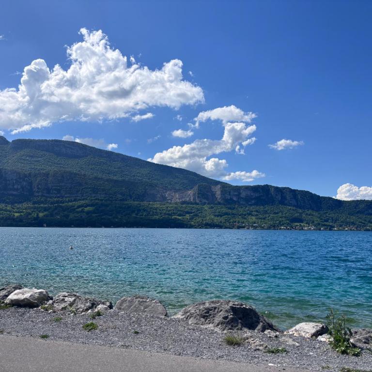 Petit cocon entre lac, golf et montagne, proche d'Annecy - Appartement avec Terrasse - 9