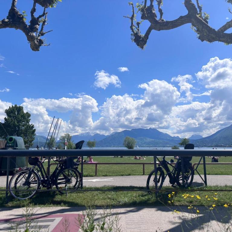 Petit cocon entre lac, golf et montagne, proche d'Annecy - Appartement avec Terrasse - 8