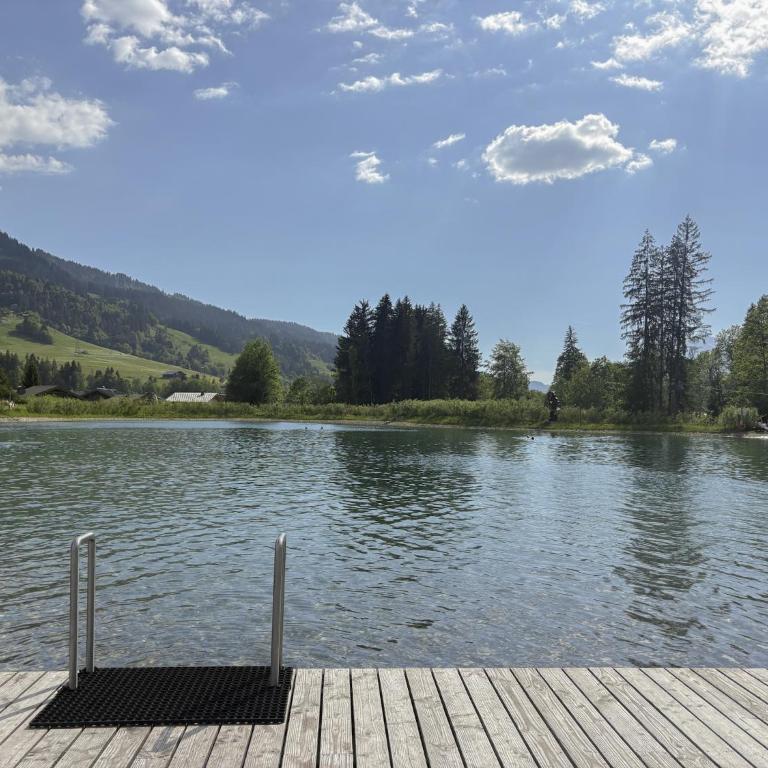 Les Caribous - Lac 1 min, Espace Diamant, Megeve - Appartement 1 Chambre - 32