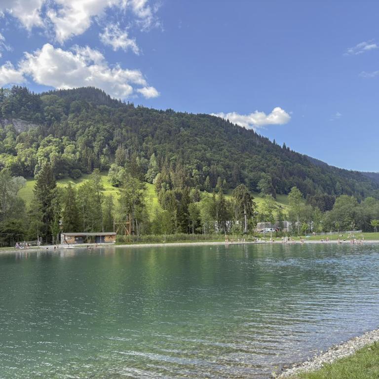 Les Caribous - Lac 1 min, Espace Diamant, Megeve - Appartement 1 Chambre - 31