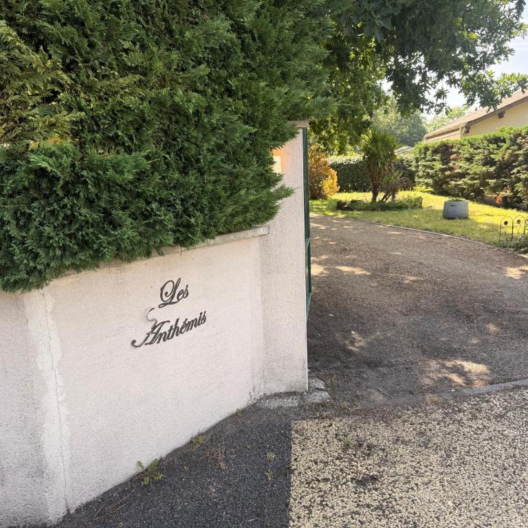 Les Anthémis - Chambre Double - Vue sur Jardin - 1