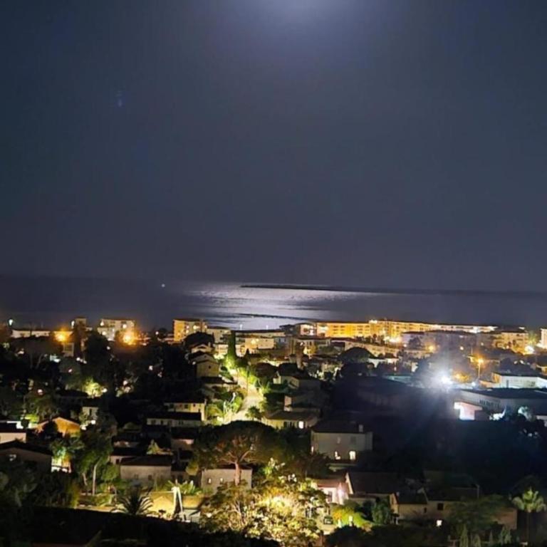 Lovely 48 m2 appt with sea view and swimming pool - Appartement - 13