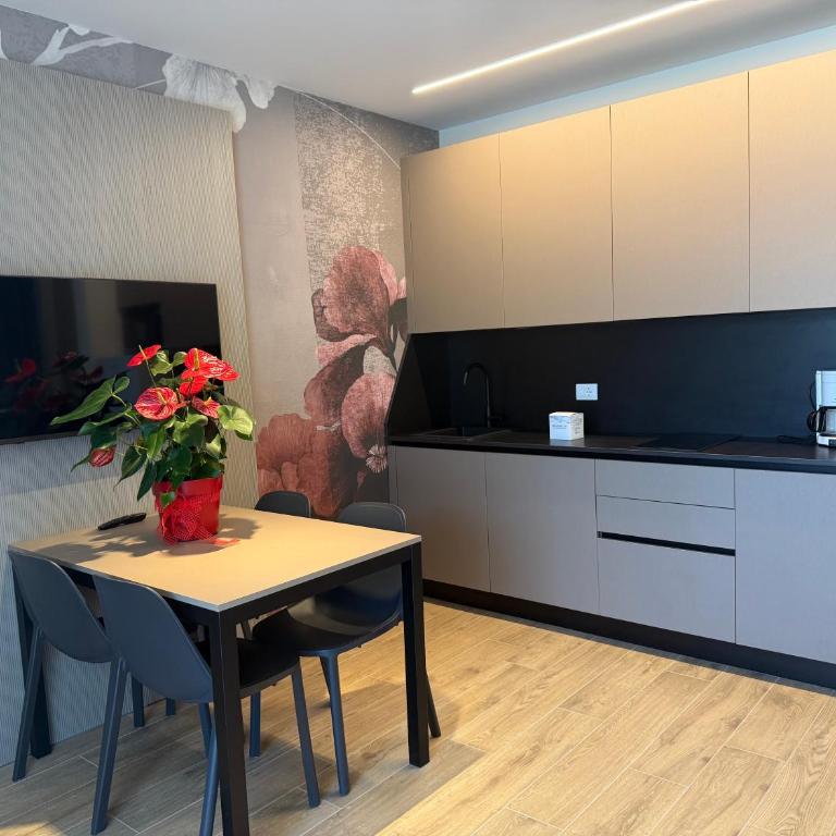 Residence G. Verdi - Appartamento Superior con 1 Camera da Letto - 9