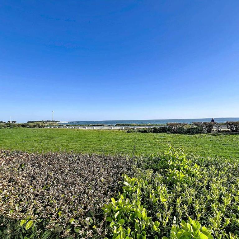 Studio Modernisé 35m² à Quiberon avec Parking - FR-1-478-331 - Studio - 7