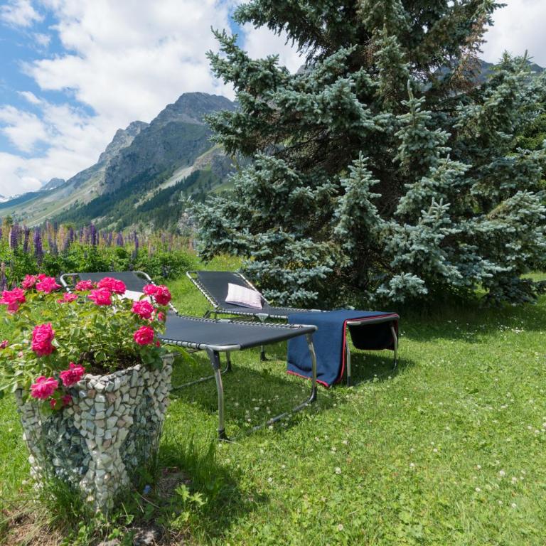 Chesa Lagrev 3 - Apartment mit Blick auf die Berge - 9