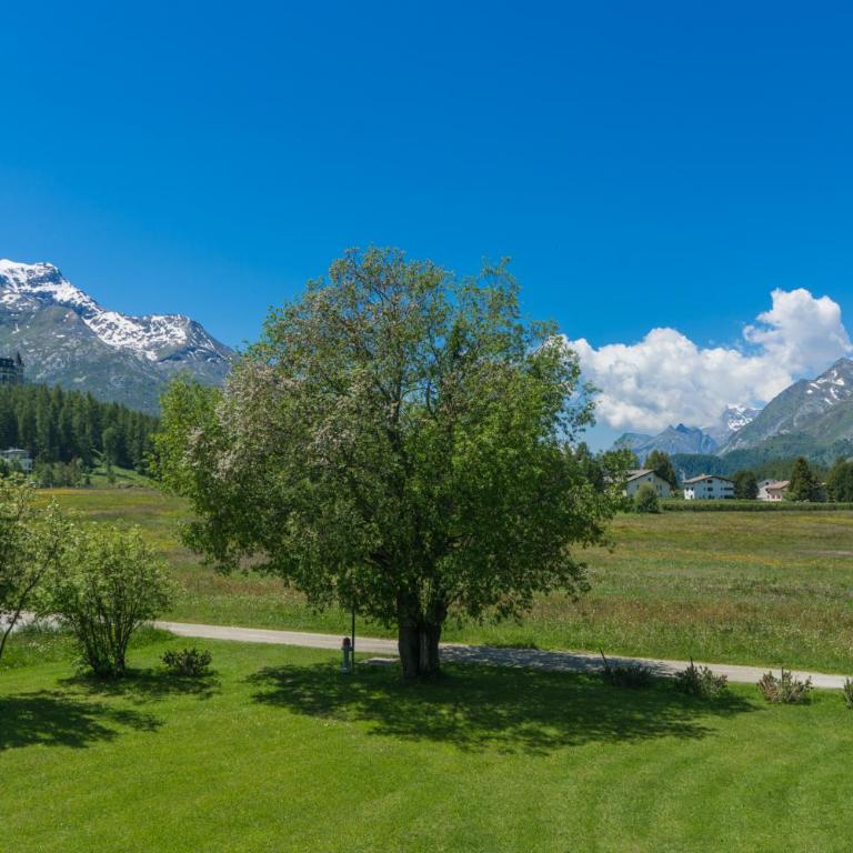 Chesa Flur Sulagl 2 - Apartment mit Blick auf die Berge - 4