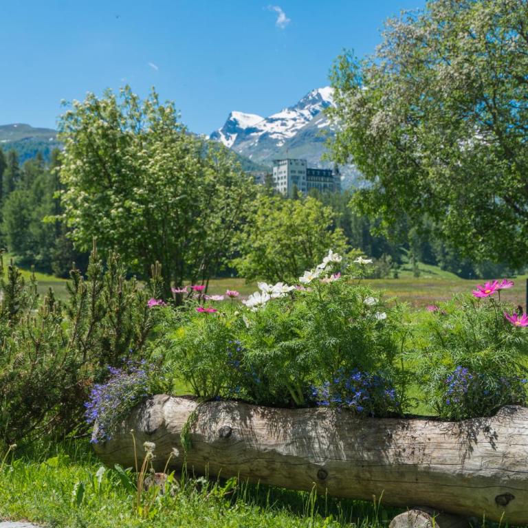 Chesa Flur Sulagl 2 - Apartment mit Blick auf die Berge - 3
