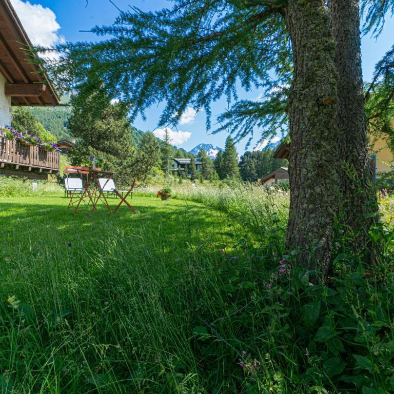 Chesa Muot Mulin - Ferienhaus - 26