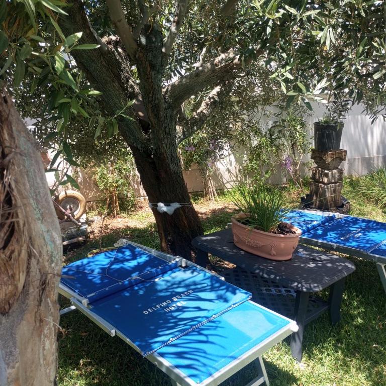 Mare&Relax - Camera Matrimoniale con Bagno Privato - 5
