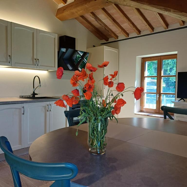 Agriturismo panoramico a Siena Al Chiaro di Luna - Apartment with View - 40