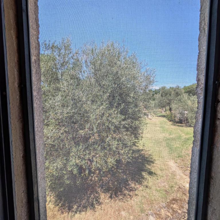 Podere Spedalone - Camera Familiare con Vista Giardino - 4