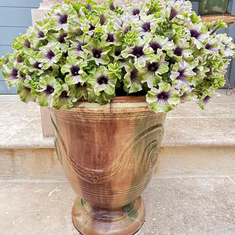 La Largarde - Chambre Double - Vue sur Jardin - 1