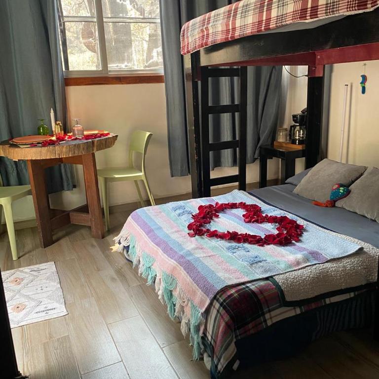 Glamping sin salir de la CDMX - Habitación Doble con vistas a la montaña - 4