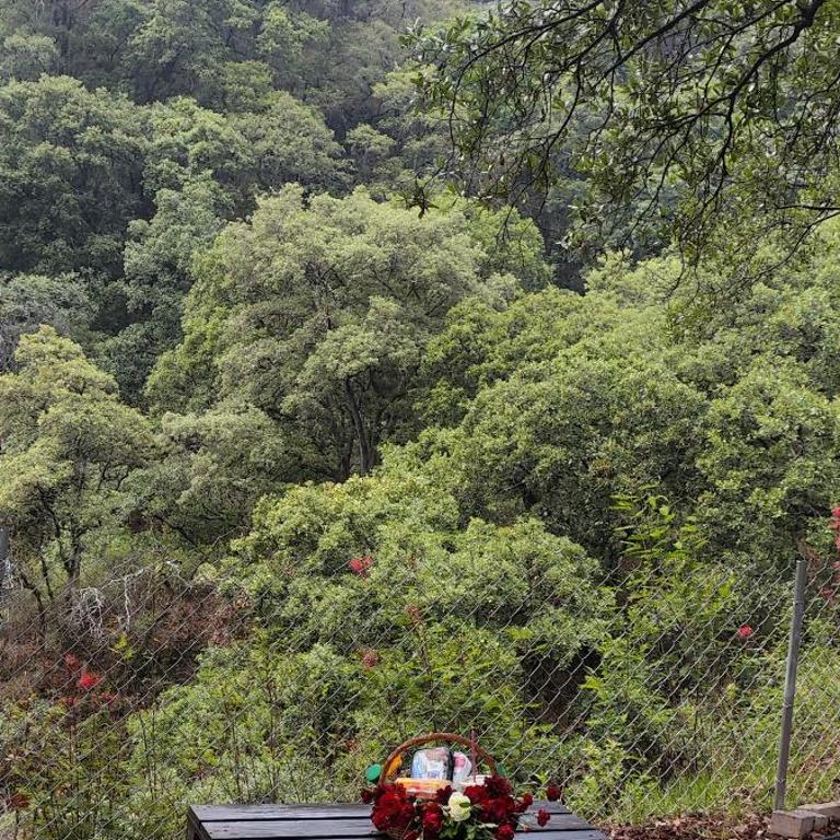 Glamping sin salir de la CDMX - Habitación Doble con vistas a la montaña - 11