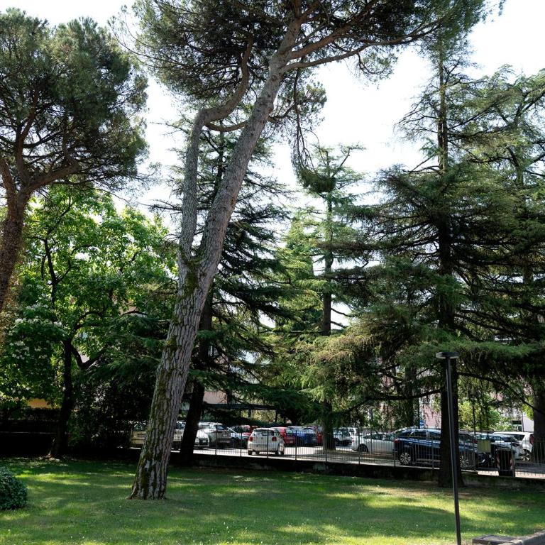 Arco Park View By Immobilux - Appartamento - 29