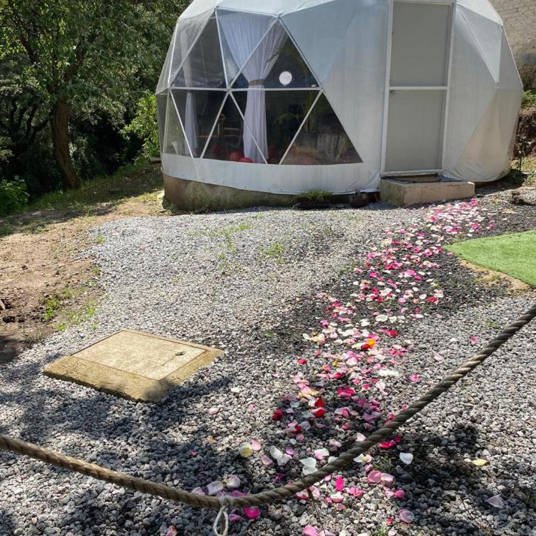Glamping sin salir de la CDMX - Habitación con cama extragrande y vistas a la montaña - 1